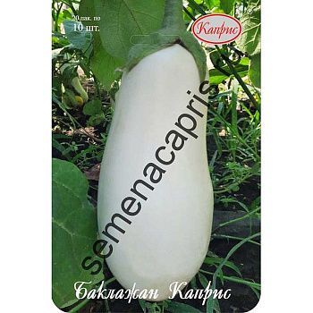 Баклажан Белый Каприс