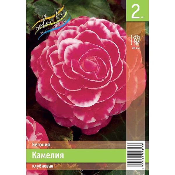 Бегония Камелия 4/5 2 Эконом шт
