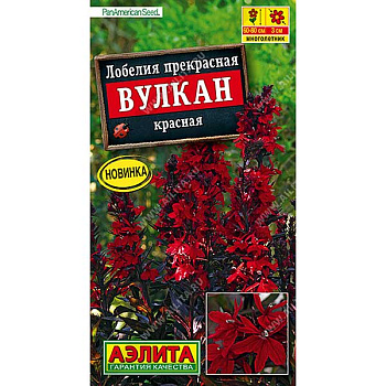 Лобелия Вулкан красная Аэлита Ц 