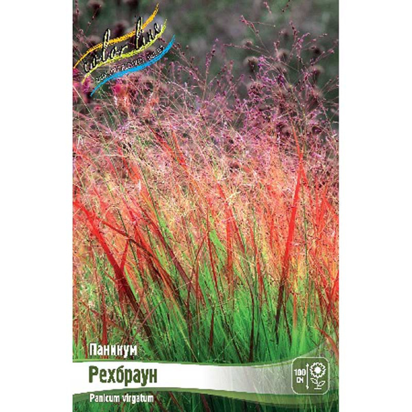 Паникум Рехбраун 2/3 2 шт