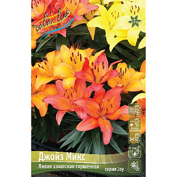 Лилия Джойз Микс 10/12 25 шт Биг-пак 13662