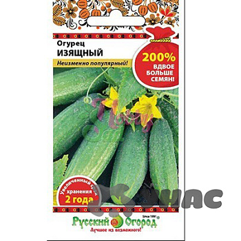 Огурец Изящный  НК Ц