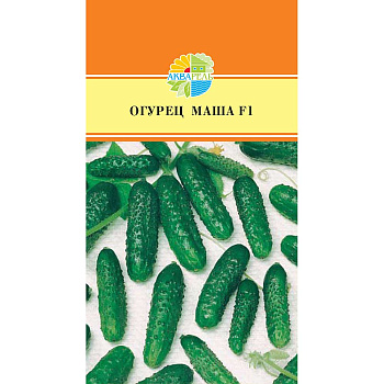 Огурец Маша Маринда/Акварель