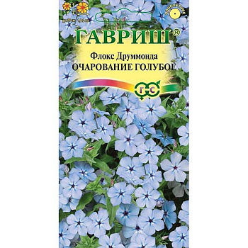 Флокс Друммонда Очарование голубое Гавриш Ц 
