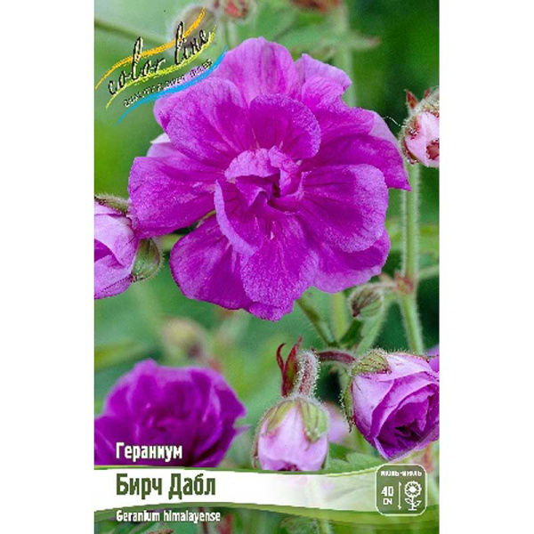 Гераниум Бирч Дабл I 25 шт Биг-пак 1801