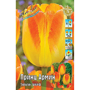 2019 Шоу-Бокс Тюльпан Принц Армин 11/12 75 шт