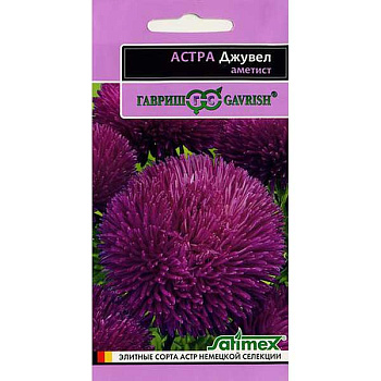 Астра Джувел Аметист Эксклюзив Гавриш Ц 