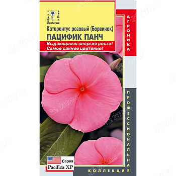 Катарантус Пацифик Панч Плазма Ц 