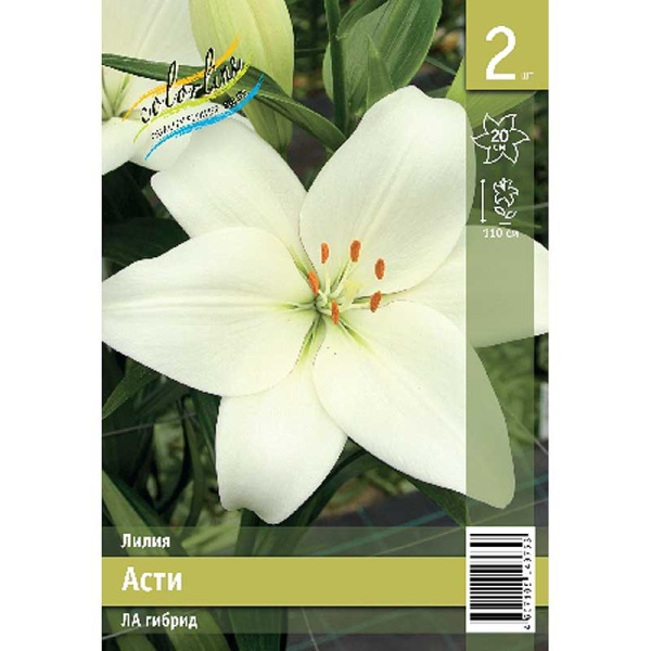 Лилия Асти 12/14 2 Эконом шт 