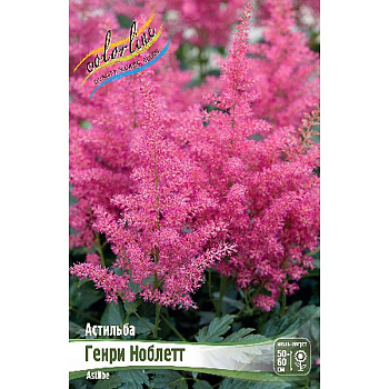 Астильба Генри Ноблетт 2/3 n 1 шт