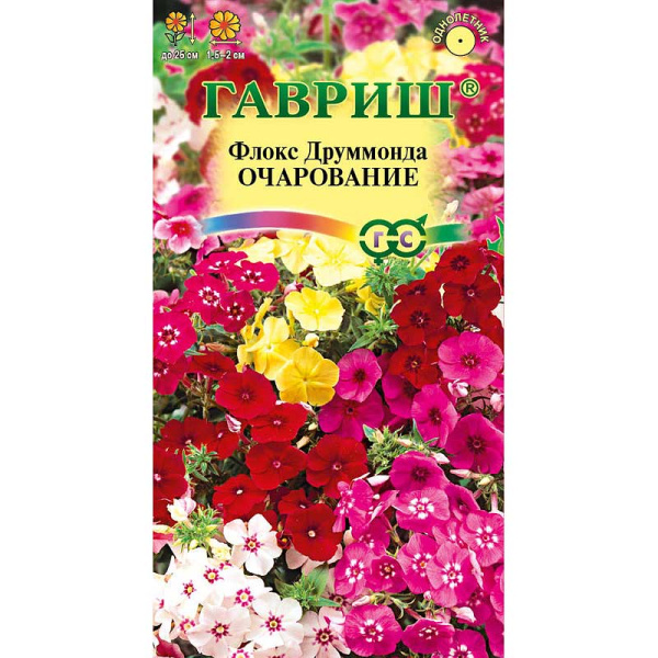 Флокс Друммонда Очарование смесь Гавриш Ц 