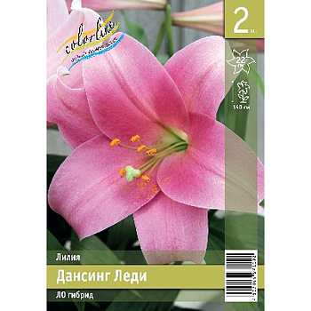 Лилия Дансинг Леди 12/14 2 Эконом шт