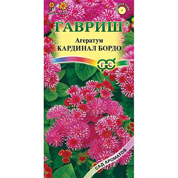 Агератум Кардинал бордо Гавриш Ц 