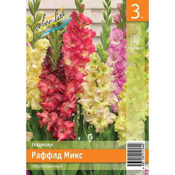 Гладиолус Раффлд Микс 10/12 3 Эконом шт 