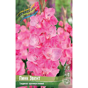 Гладиолус Пинк Эвент 10/12 100 шт Шоу-Бокс 5866 