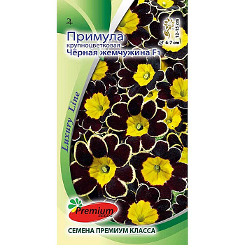 Примула Черная жемчужина Премиум Сидс Ц 