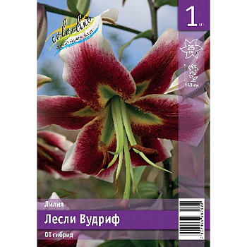 Лилия Лесли Вудриф 12/14 1 Эконом шт 