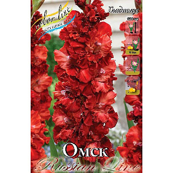 Гладиолус Омск 12/14 100 шт Шоу-Бокс 14603