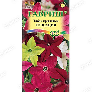 Табак Сенсация душистый Гавриш Ц 