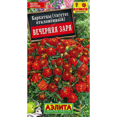 Бархатцы Вечерняя заря Аэлита Ц 