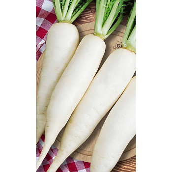 Редька китайская Клык слона 1гр Садовита Ц