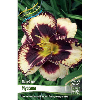 Лилейник Муссака I 25 шт Биг-пак 5951 