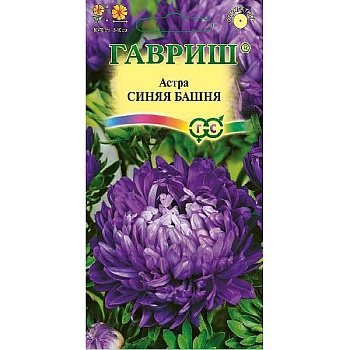 Астра Синяя башня Гавриш Ц 