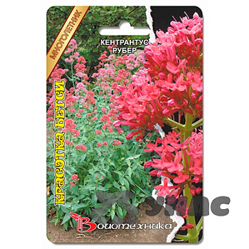 Кентрантус Красотка Бетси Биотехника Ц х10 