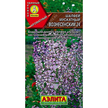 Шалфей Вознесенский мускатн. Аэлита Ц x10