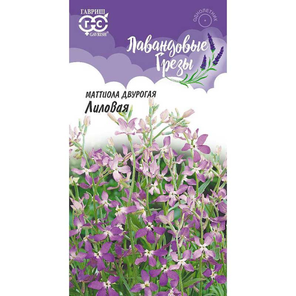Маттиола двурогая Лиловая Гавриш Ц 