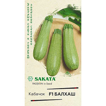 Кабачок Балхаш Гавриш Ц