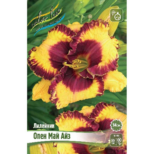 Лилейник Опен Май Айз I 25 шт Биг-пак 5916