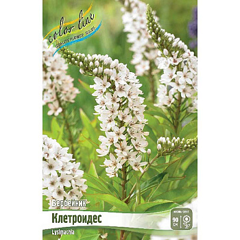 8343 Биг-Пак Вербейник Клетроидес I 25 шт