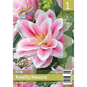 Лилия Roselily Микаэла 12/14 1 Эконом шт 