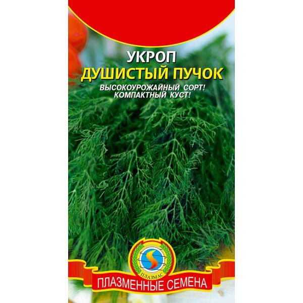 Укроп Душистый пучок Плазма Ц