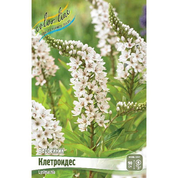 8343 Биг-Пак Вербейник Клетроидес I 25 шт