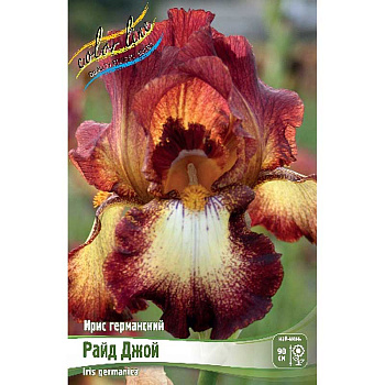 Ирис Германский Райд Джой I 25 шт Биг-пак 6863
