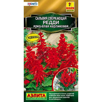 Сальвия Редди ярко-алая  Аэлита Ц 