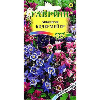 Аквилегия Бидермейер  Гавриш Ц 