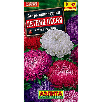 Астра Летняя песня смесь окрасок Аэлита Ц 