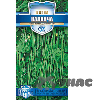 Вигна Каланча Гавриш Ц