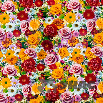 Клеенка тканая основа 125*25м 1 сорт 117/7 (розы, ромашки) Тверь