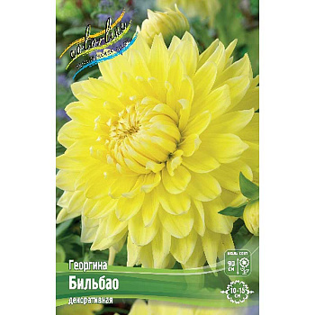 Георгина Бильбао I 15 шт Шоу-бокс 10986