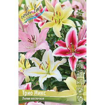 Лилия Трио Микс 12/14 25 шт Биг-пак 13738