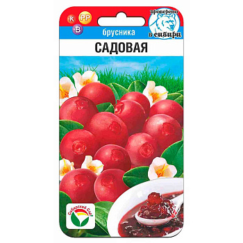 Брусника Садовая СибСад Ц