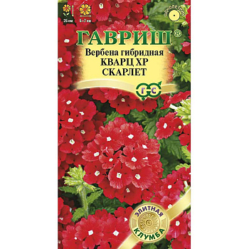 Вербена Гибридная Кварц ХР Скарлет Гавриш Ц 
