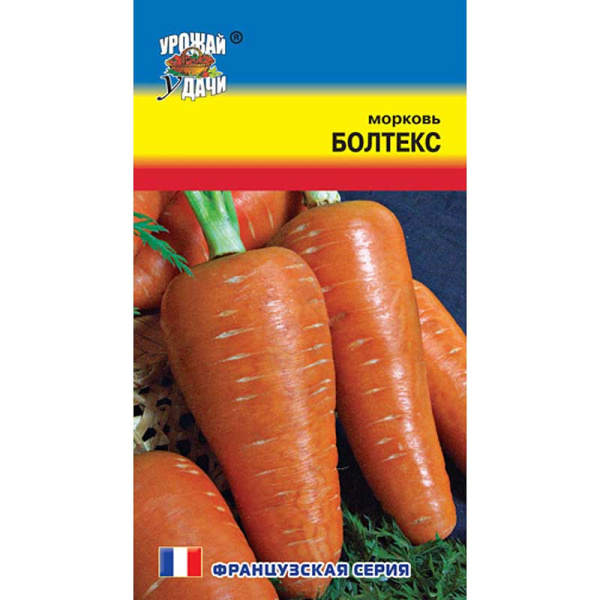 Морковь Болтекс Урожай у дачи Ц