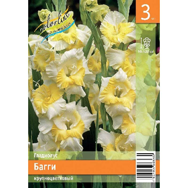 Гладиолус Багги 10/12 3 Эконом шт