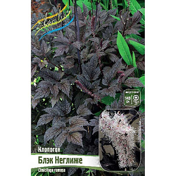 8430 Биг-Пак Клопогон Блэк Неглиже I 25 шт 