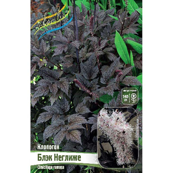 8430 Биг-Пак Клопогон Блэк Неглиже I 25 шт 